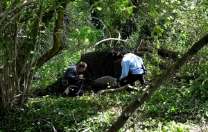 Tir 3D Championnat régional - Vitré